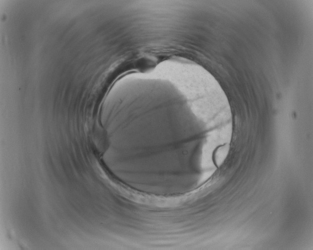 X0000069360048200606091612