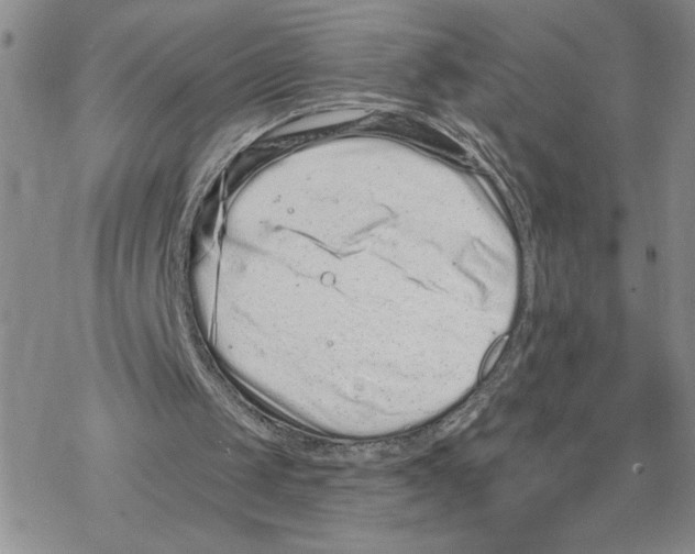 X0000069360049200606091611