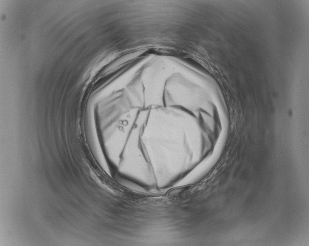 X0000069360050200606091611