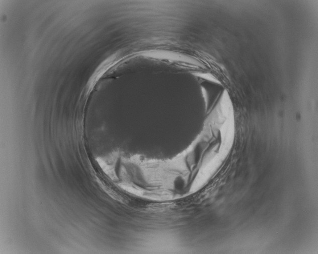 X0000069360051200606091611