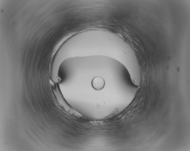 X0000069360052200606091611