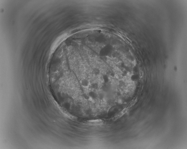 X0000069360053200606091611