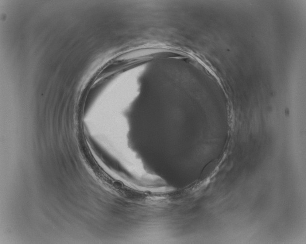 X0000069360055200606091611