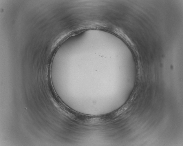 X0000069360058200606091611