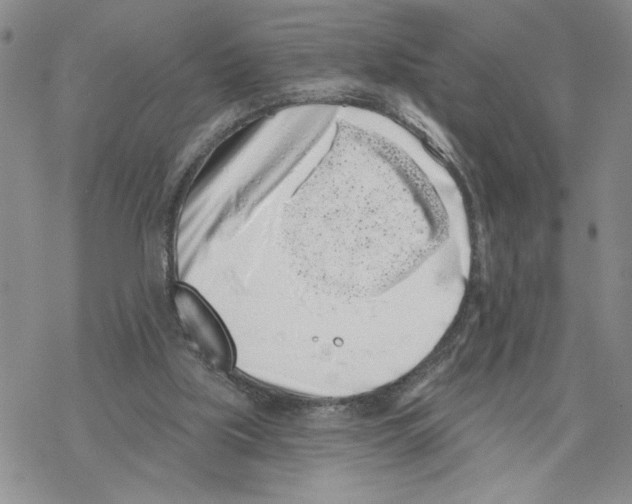 X0000069360059200606091611