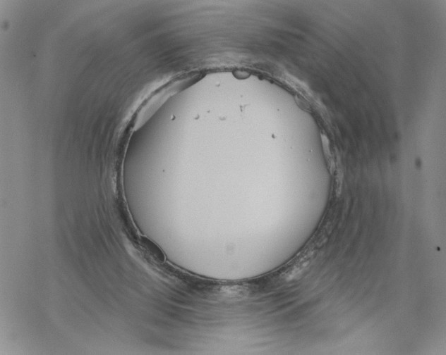 X0000069360060200606091611