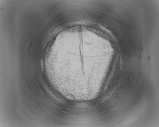 X0000069360061200606091611