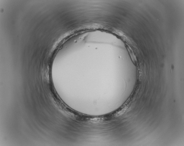 X0000069360064200606091611