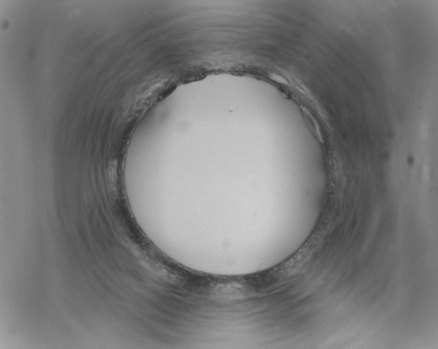 X0000069360066200606091611