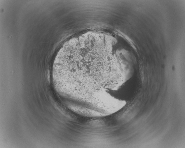 X0000069360067200606091611