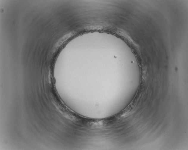 X0000069360068200606091611