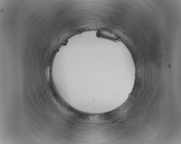 X0000069360070200606091611