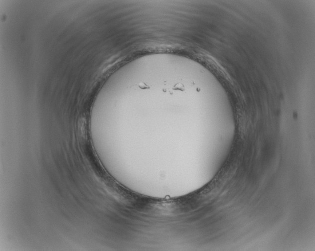 X0000069360071200606091611