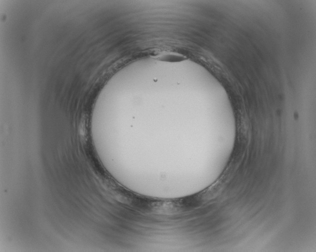 X0000069360074200606091611