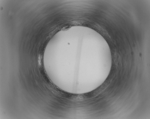 X0000069360075200606091611