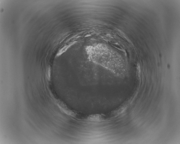 X0000069360076200606091611