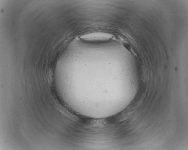 X0000069360077200606091611