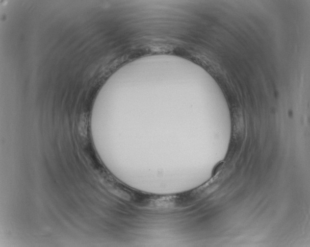 X0000069360078200606091611