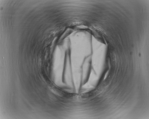 X0000069360080200606091612