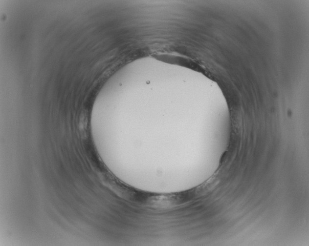 X0000069360082200606091612