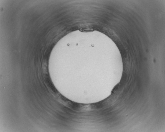 X0000069360083200606091612