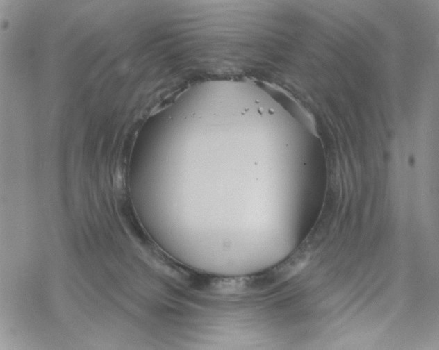 X0000069360084200606091612