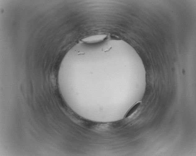 X0000069360086200606091612