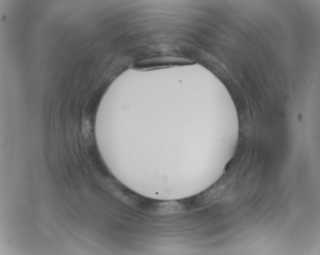 X0000069360087200606091612