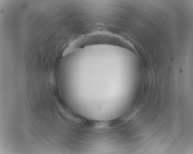 X0000069360088200606091612