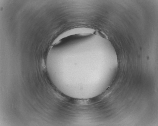 X0000069360089200606091612