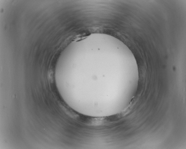 X0000069360090200606091612