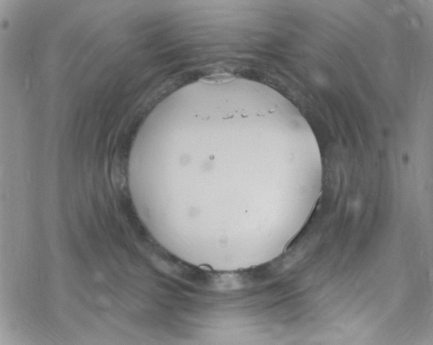 X0000069360091200606091612