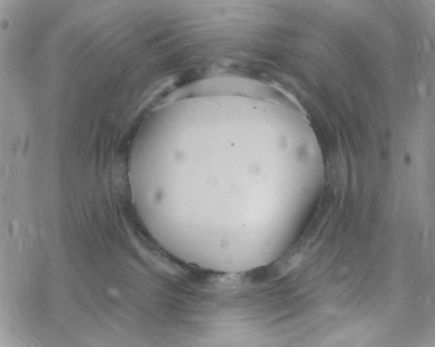 X0000069360092200606091612