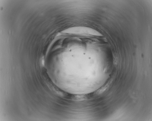 X0000069360095200606091612