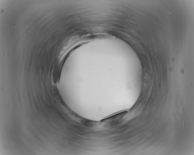 X0000069360096200606091612