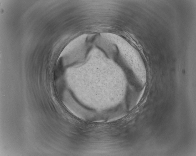 X0000069360097200606091611