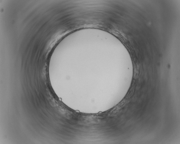 X0000069360098200606091611