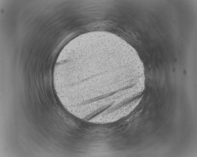 X0000069360100200606091611