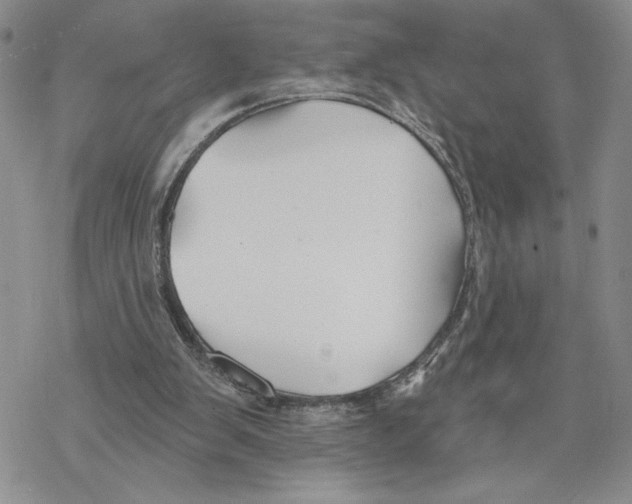 X0000069360103200606091611