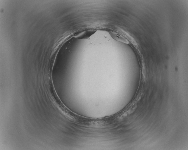 X0000069360105200606091611