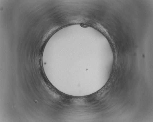 X0000069360106200606091611