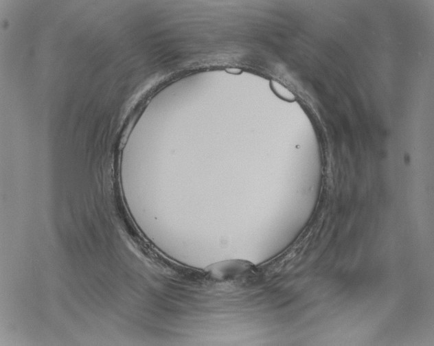 X0000069360107200606091611