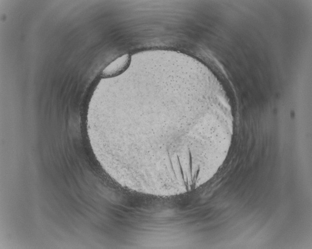 X0000069360108200606091611