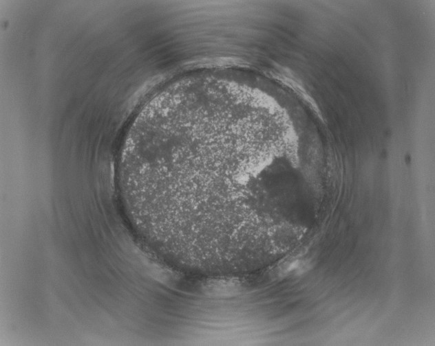 X0000069360110200606091611