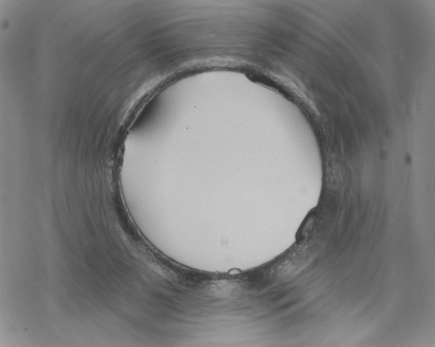 X0000069360111200606091611