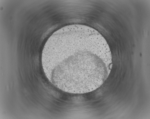 X0000069360112200606091611