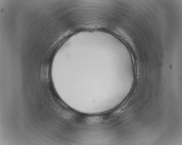 X0000069360115200606091611