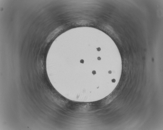 X0000069360116200606091611