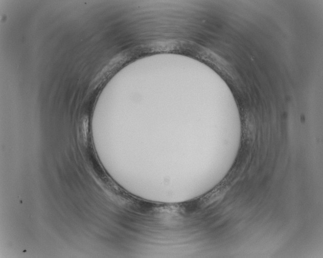 X0000069360118200606091611