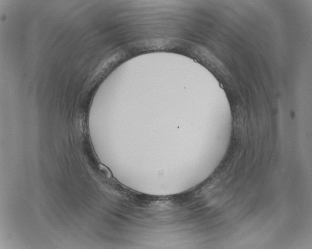 X0000069360119200606091611